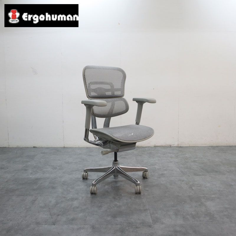 展示美品 Ergohuman エルゴヒューマン PRO2 Low Type プロ2 ローバック グレーフレーム オフィスチェア メッシュ張り 17万