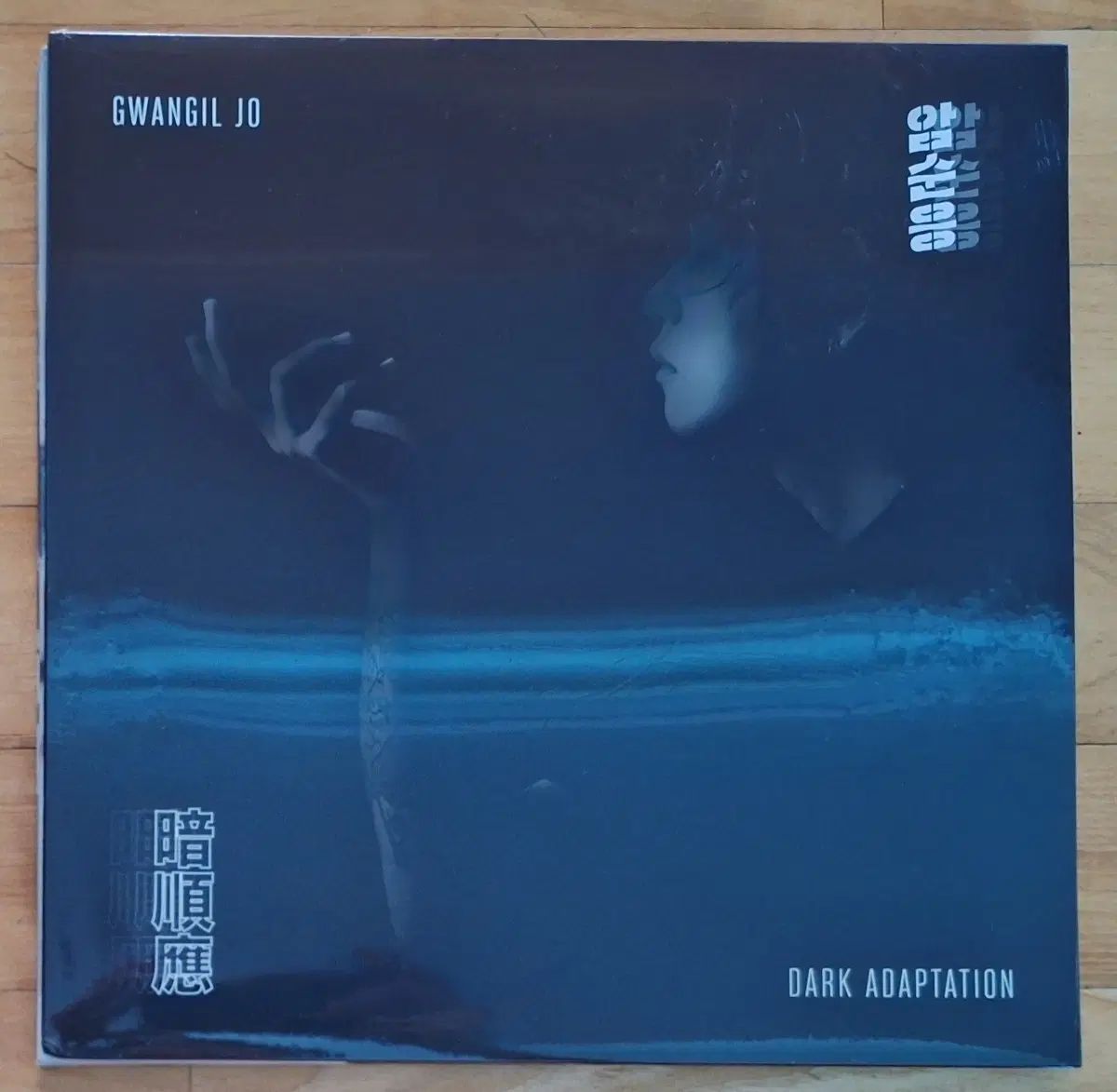 未開封/チョ・グァンイル - 暗順応 500 腸 限定版 限定盤 期間限定 発売版（オレンジ色 クリア 透明 ビニール)