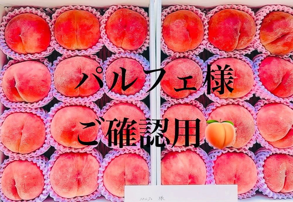 ?✨パルフェ様ご確認用? 46,666円