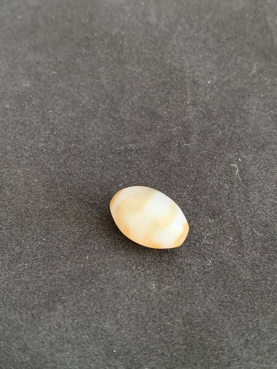 Dzi Beads ジービーズ チベタン チベット Taklok dZi