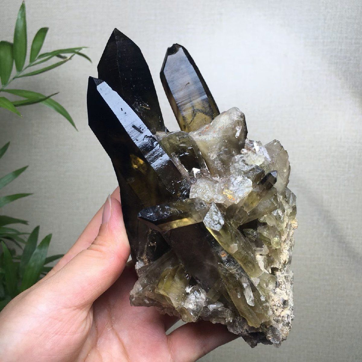 AAAAA級【魔除け】天然モリオン(黒水晶）クラスターB0707/YS/488D AAAAAAA級【魔除け】天然モリオン(黒水晶）クラスターB0813/YS/299D