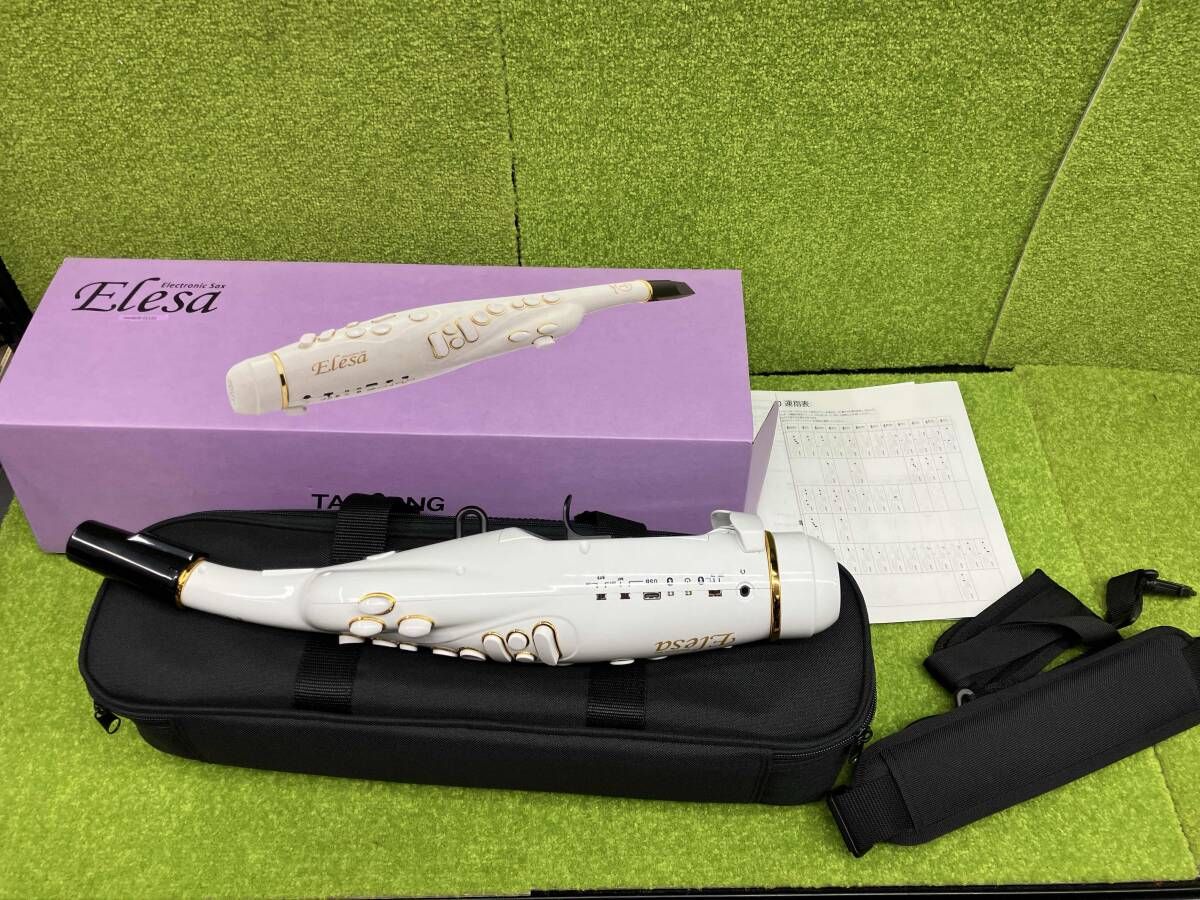 ジャンク 管楽器 elesa ELS10 その他管楽器