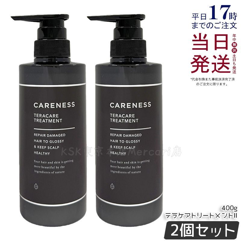 2個セット】ケアネス テラケアトリートメントⅡ 400g 【公式通販】