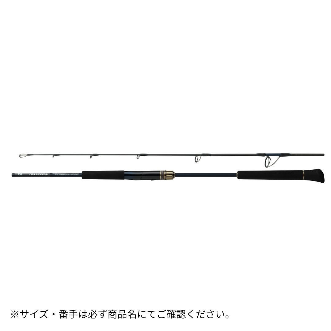 ソルティガ J EXPEDITION 50S-6 DAIWA（ダイワ） 大型便A 2025年新製品