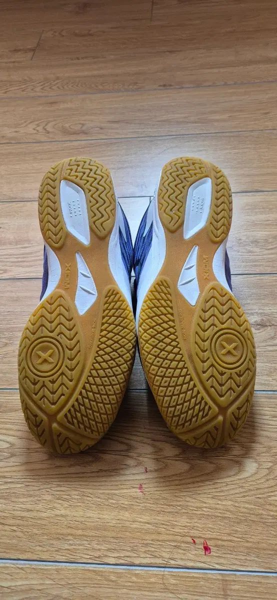 エクシ옴卓球シューズ