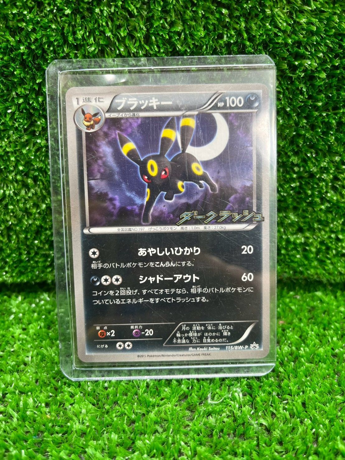 21 ポケモンカード ブラッキー 115/BW-P ダークラッシュ プロモカード