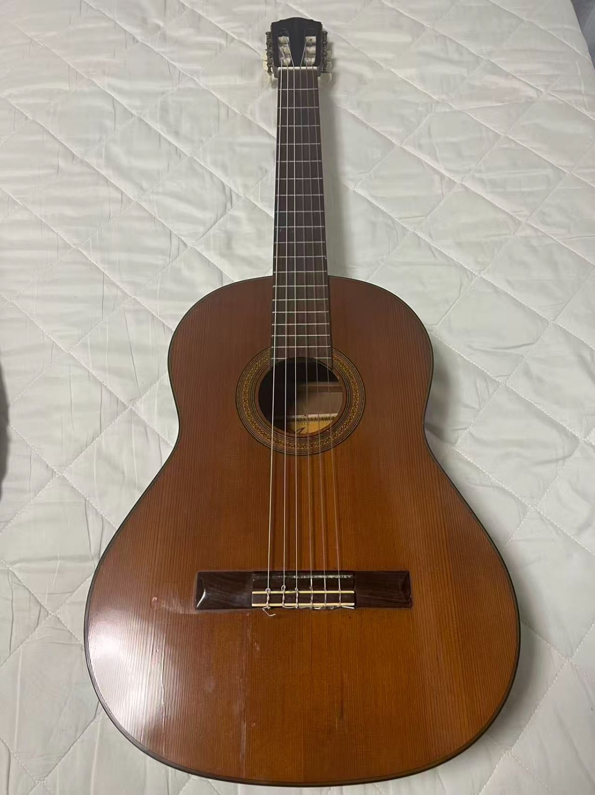 Ariana 6510 Japanese Vintage Nylon Strings for Classical Guitar