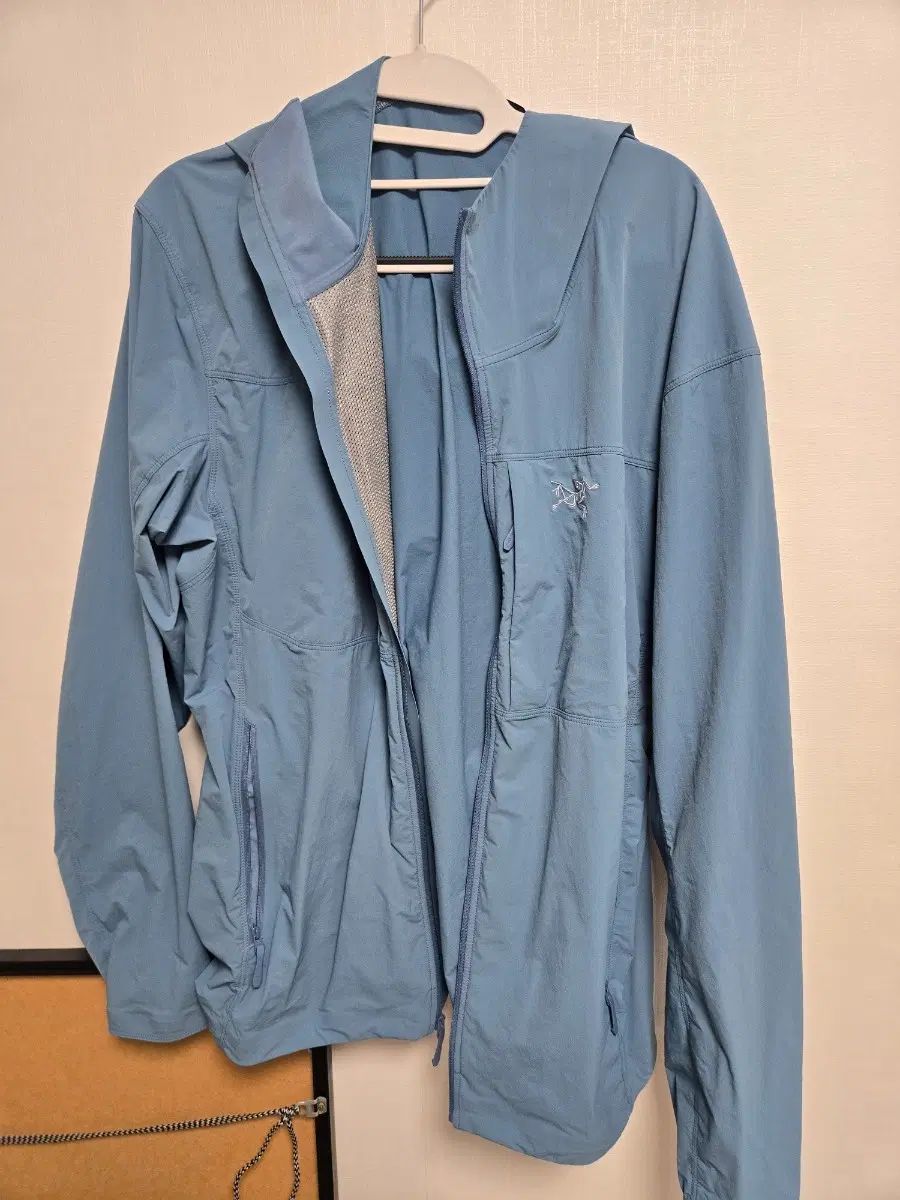 ARC'TERYX アークテリクス GAMMA(ガンマ) ライトウェイト ストーンウォッシュ Lサイズ 出品