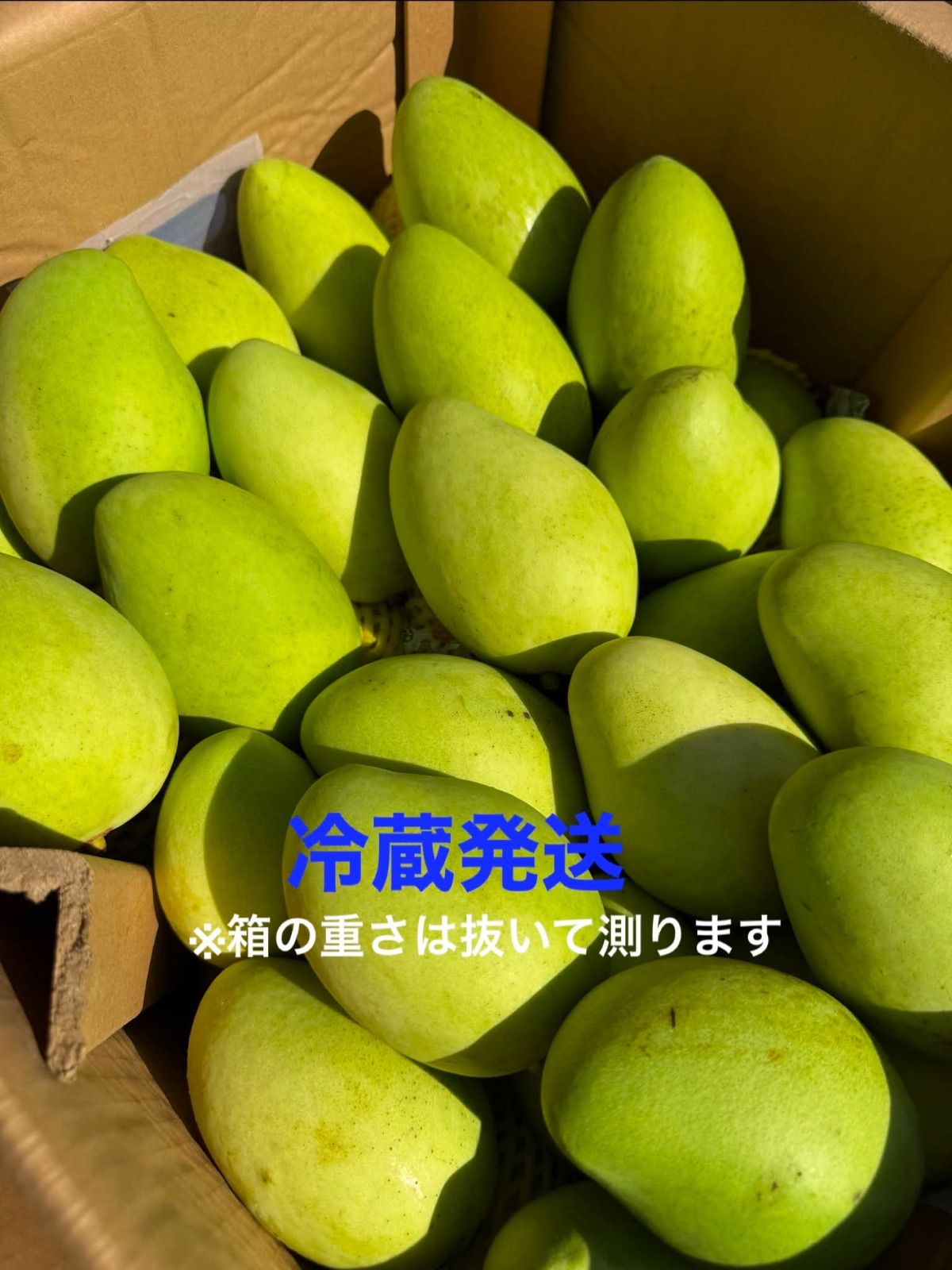 🥭ベトナム産グリーンマンゴー約2kg(6〜9個) 冷蔵 - メルカリ