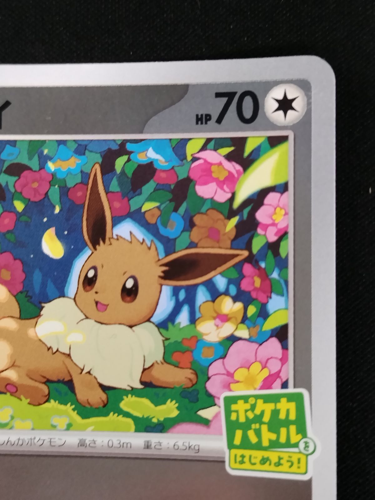 中古TCG】ポケモンカード イーブイ(196/SV-P) キズあり 【50-66
