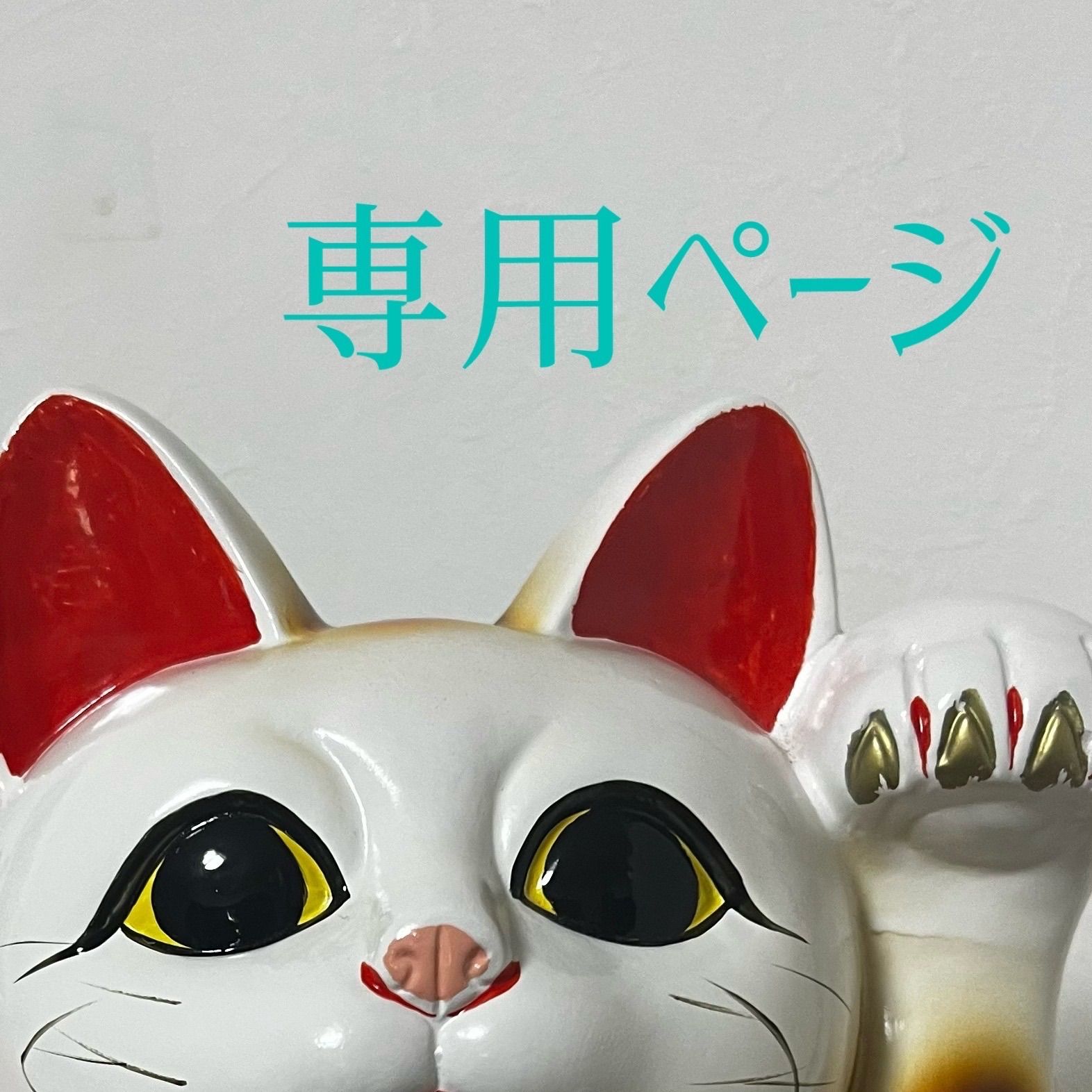 いちご様専用ページ - メルカリ