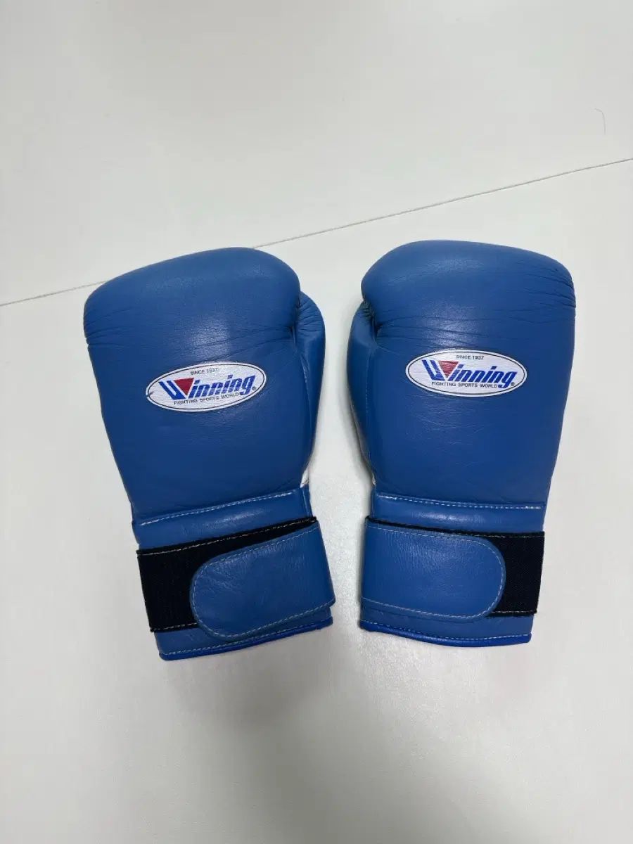 ウィニンググローブ 14オンス 出品