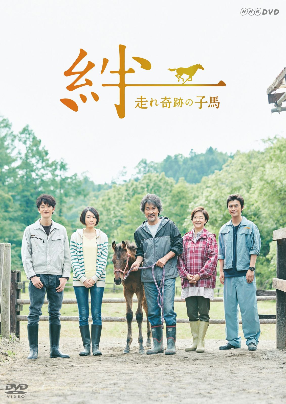 絆~走れ奇跡の子馬~ [DVD] 6,601円