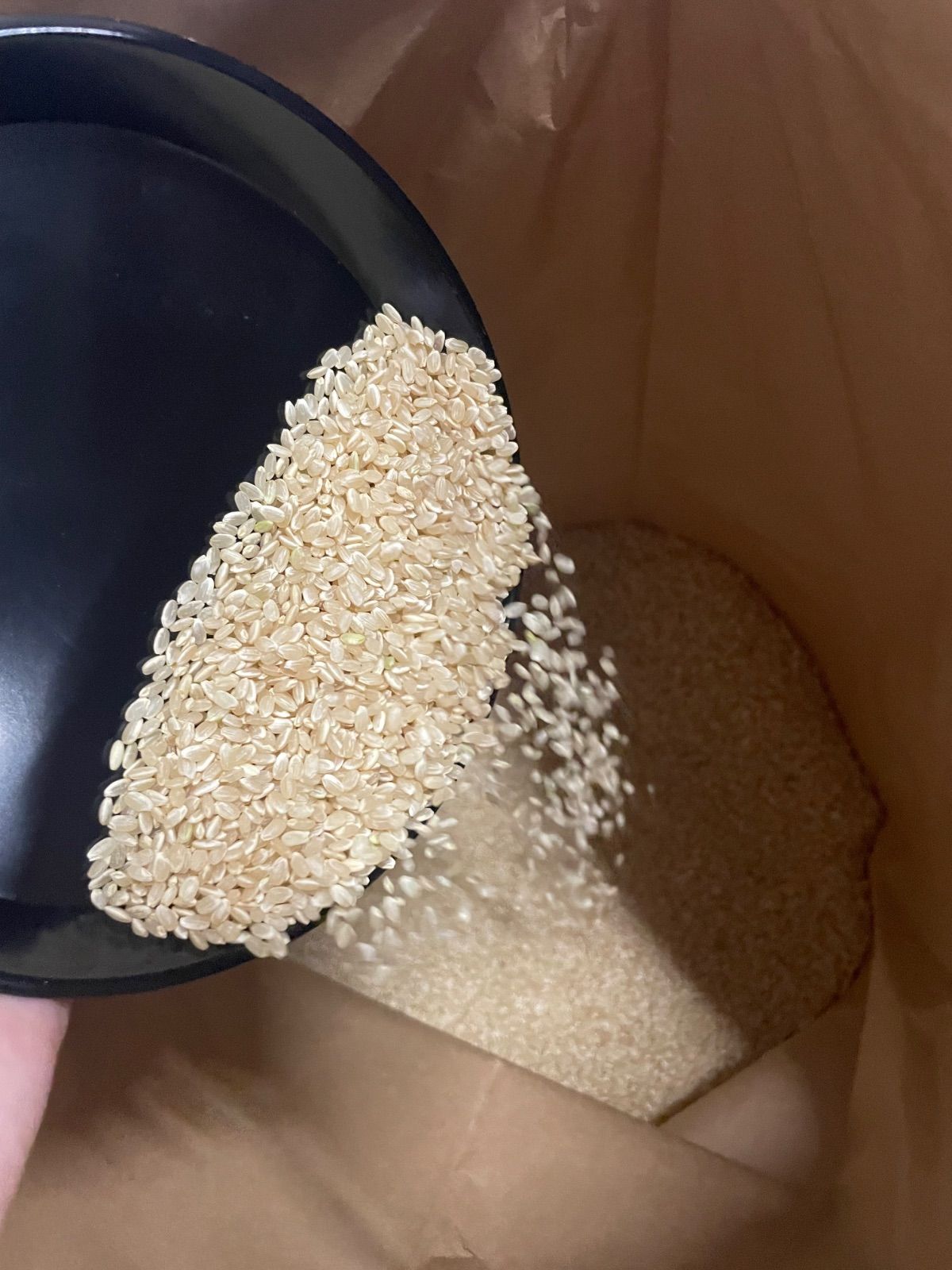 令和8年産 あきさかり 玄米30kg 淡路島産 - メルカリ