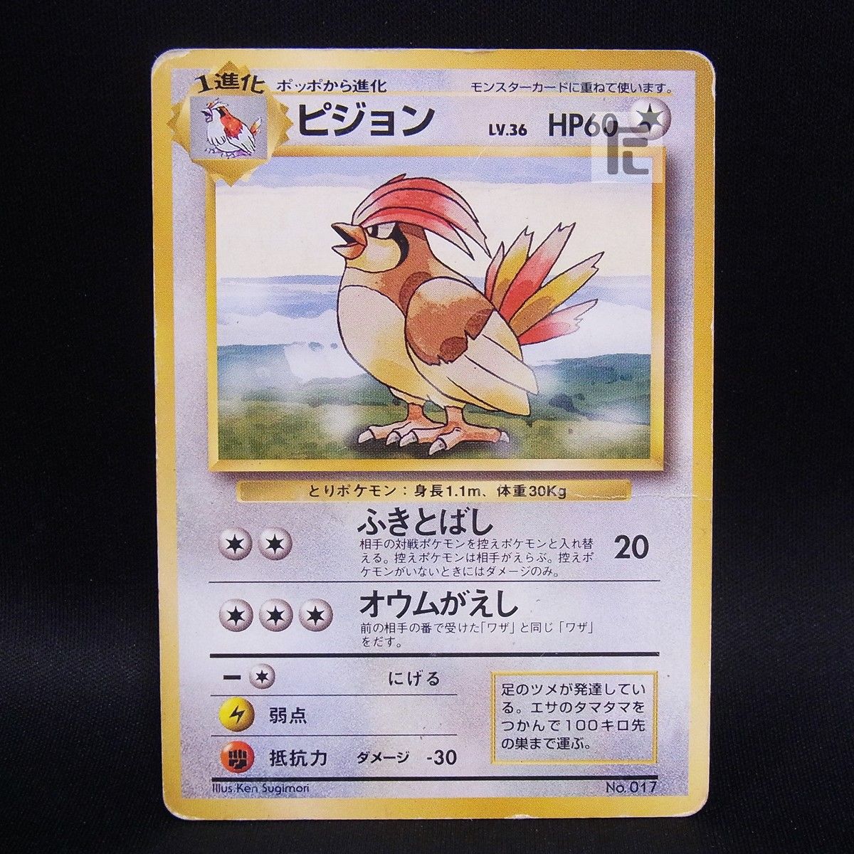 ゴマゾウ AR [超電ブレイカー] SV8 115/106 (PSA10) ポケモンカード