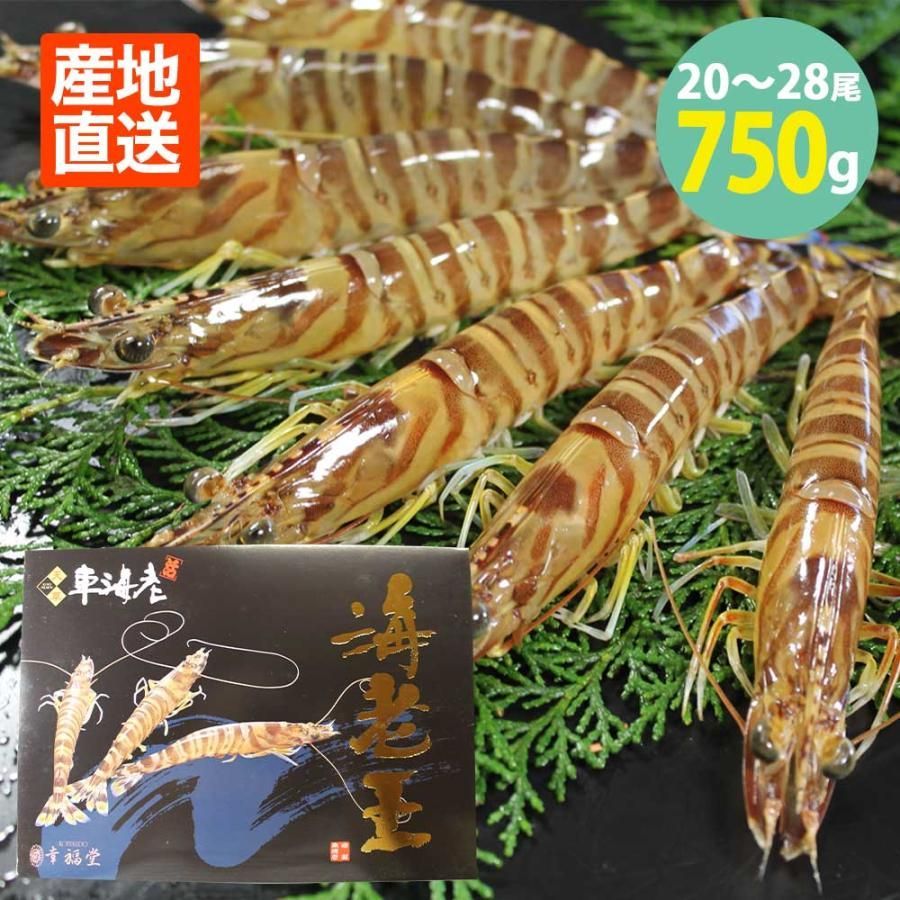熊本 活き車海老 海老王 750g(20〜28尾) 幸福堂 送料無料 車海老 単品 くるまえび 海老 えび エビ 国産 魚介類 海鮮 おつまみ 高級 グルメ お取り寄せ ギフト