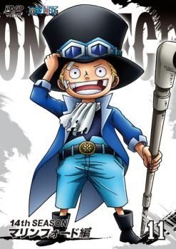 ONE PIECE: One Piece 14th Season Marineford Edition R-11 [Anime Used DVD] No Case:: Rental Failed