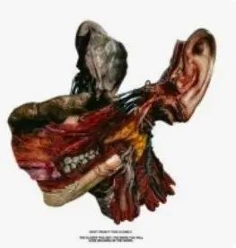 ナショナルヒップ 版 間で 損失 cd 販売