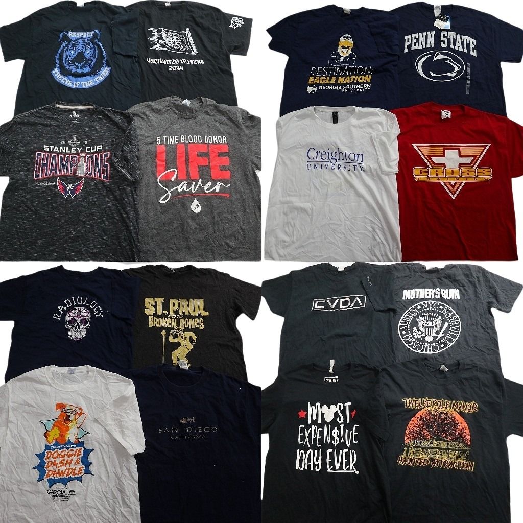 古着卸 まとめ売り プリント Tシャツ 16枚セット ( メンズ L ) デッドストック カレッジ風ロゴ アニマル スカル柄 中古 古着 NG2121