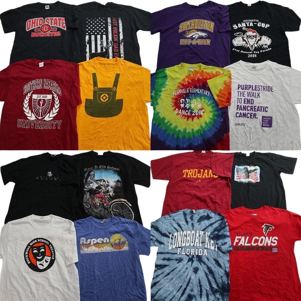 古着卸 まとめ売り プリント Tシャツ 16枚セット ( メンズ L ) スカル柄 星条旗 イーグル カレッジ風ロゴ プロチーム NFL 中古 古着 NG2122