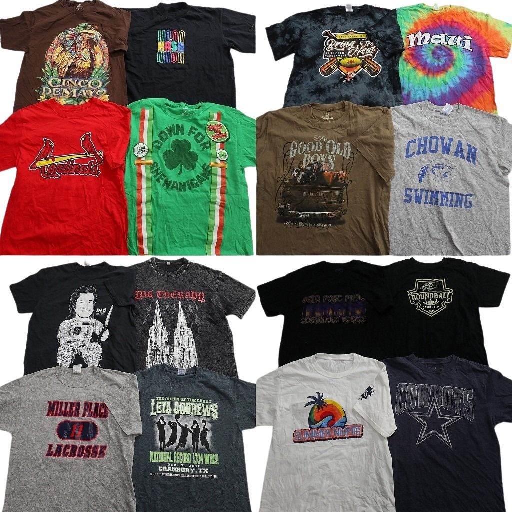 古着卸 まとめ売り プリント Tシャツ 16枚セット ( メンズ M ) アニマル カレッジ風ロゴ スポーツ 袖プリント タイダイ柄 中古 古着 NG2124 13,206円