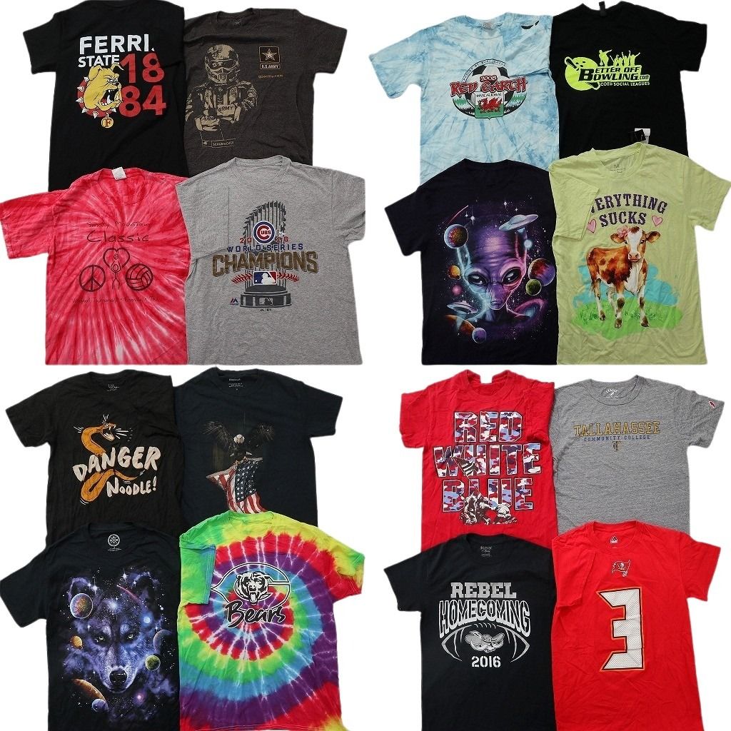 古着卸 まとめ売り プリント Tシャツ 16枚セット ( メンズ S ) ナンバリング アニマル オオカミ 宇宙柄 プロチーム MLB 中古 古着 NG2153 13,950円