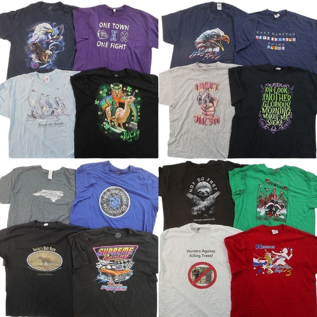 古着卸 まとめ売り プリント Tシャツ 16枚セット ( メンズ 2XL ) レーシング アニマル イーグル キャラクター アーチロゴ 中古 古着 NG2162 14,136円