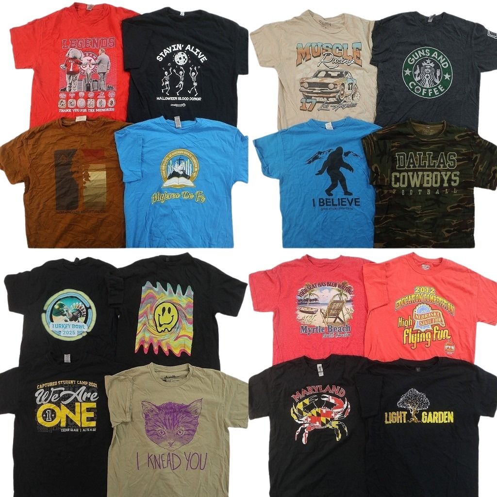 古着卸 まとめ売り プリント Tシャツ 16枚セット ( メンズ M ) レーシング アニマル カレッジ風ロゴ アーチロゴ スマイリー 古着 NG2171 13,578円