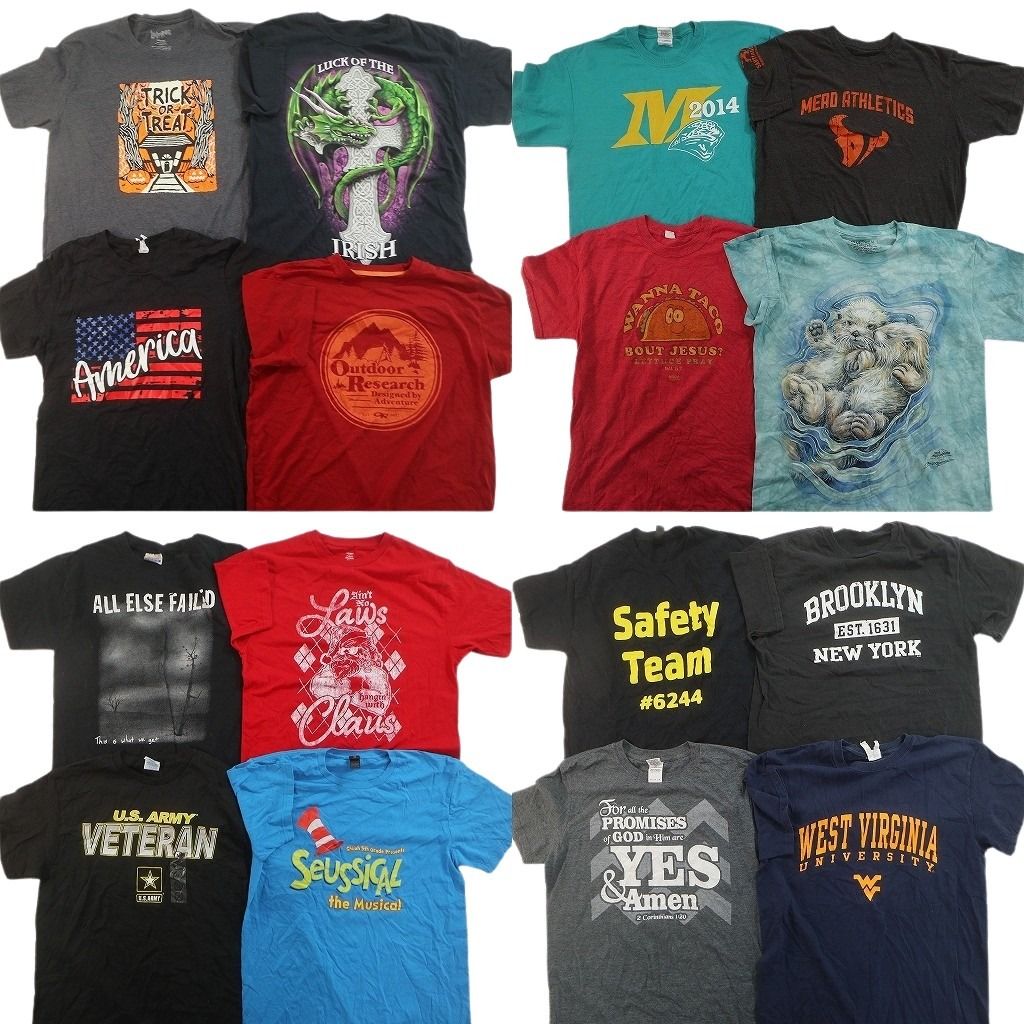 古着卸 まとめ売り プリント Tシャツ 16枚セット ( メンズ M ) アニマル ミリタリー USARMY カレッジ風ロゴ 星条旗 中古 古着 NG2180