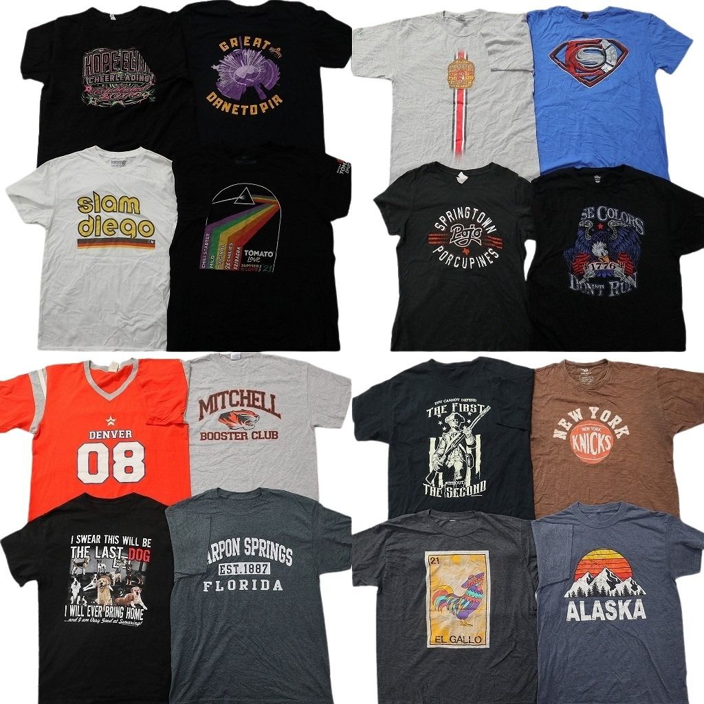 古着卸 まとめ売り プリント Tシャツ 16枚セット ( メンズ L ) アニマル イーグル カレッジ風ロゴ アーチロゴ 中古 古着 NG2181