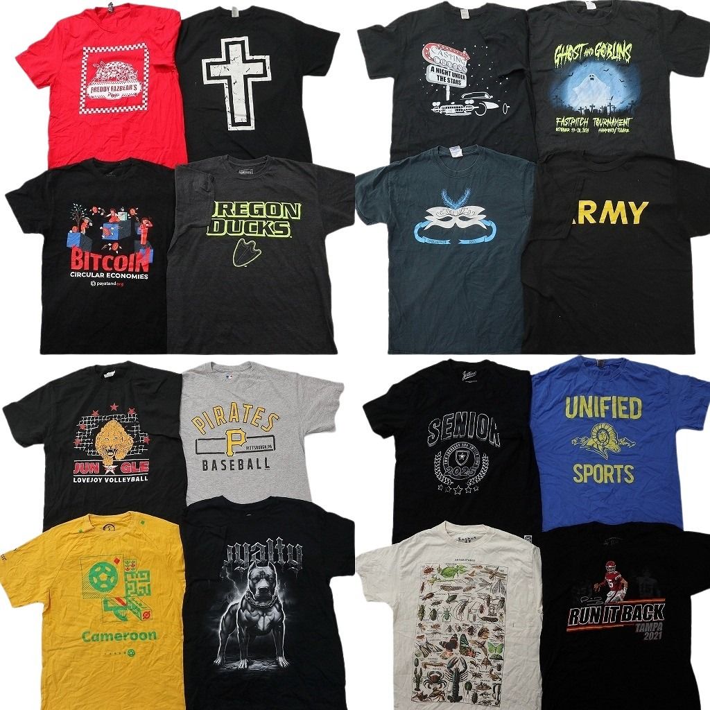 古着卸 まとめ売り プリント Tシャツ 16枚セット ( メンズ M ) アニマル ミリタリー USARMY カレッジ風ロゴ ホラー 中古 古着 NG2192
