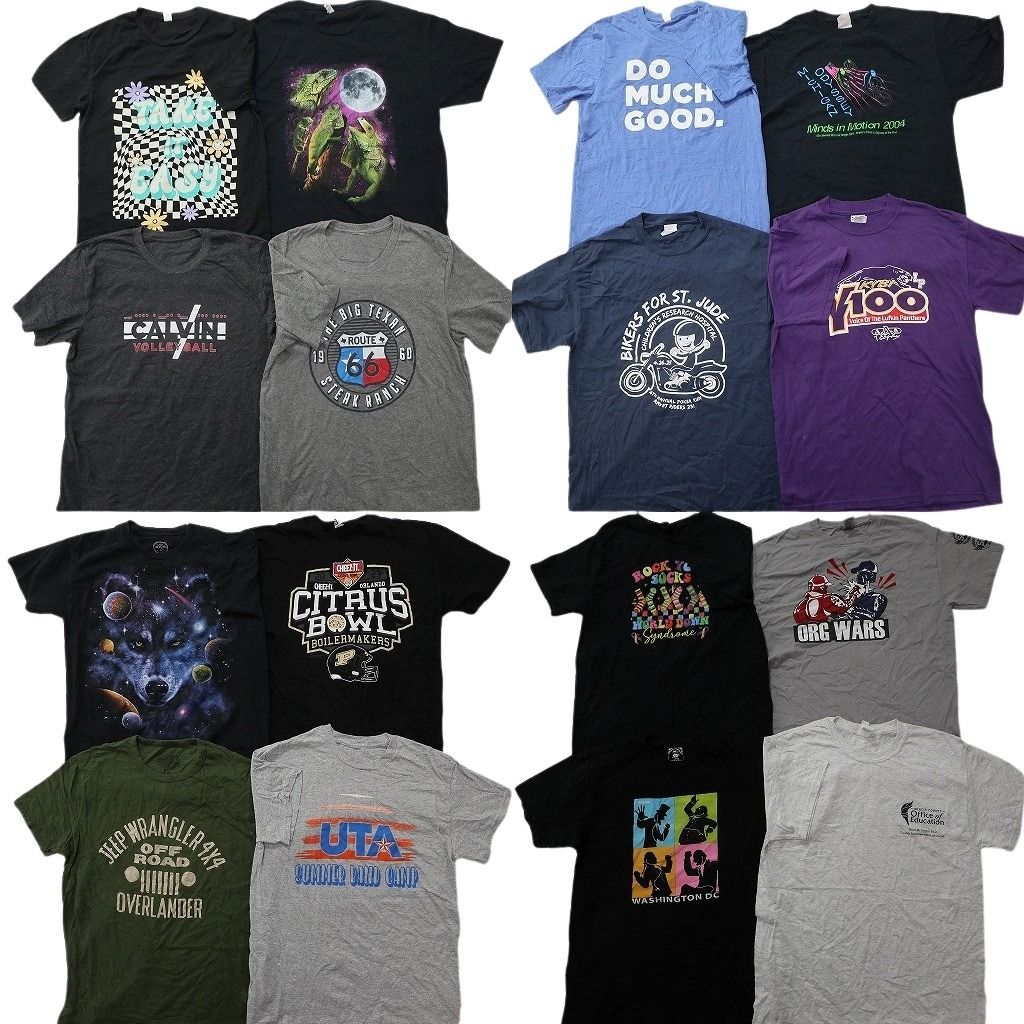 古着卸 まとめ売り プリント Tシャツ 16枚セット ( メンズ M ) アニマル カレッジ風ロゴ アーチロゴ ワンポイントロゴ 中古 古着 NG2195 13,950円
