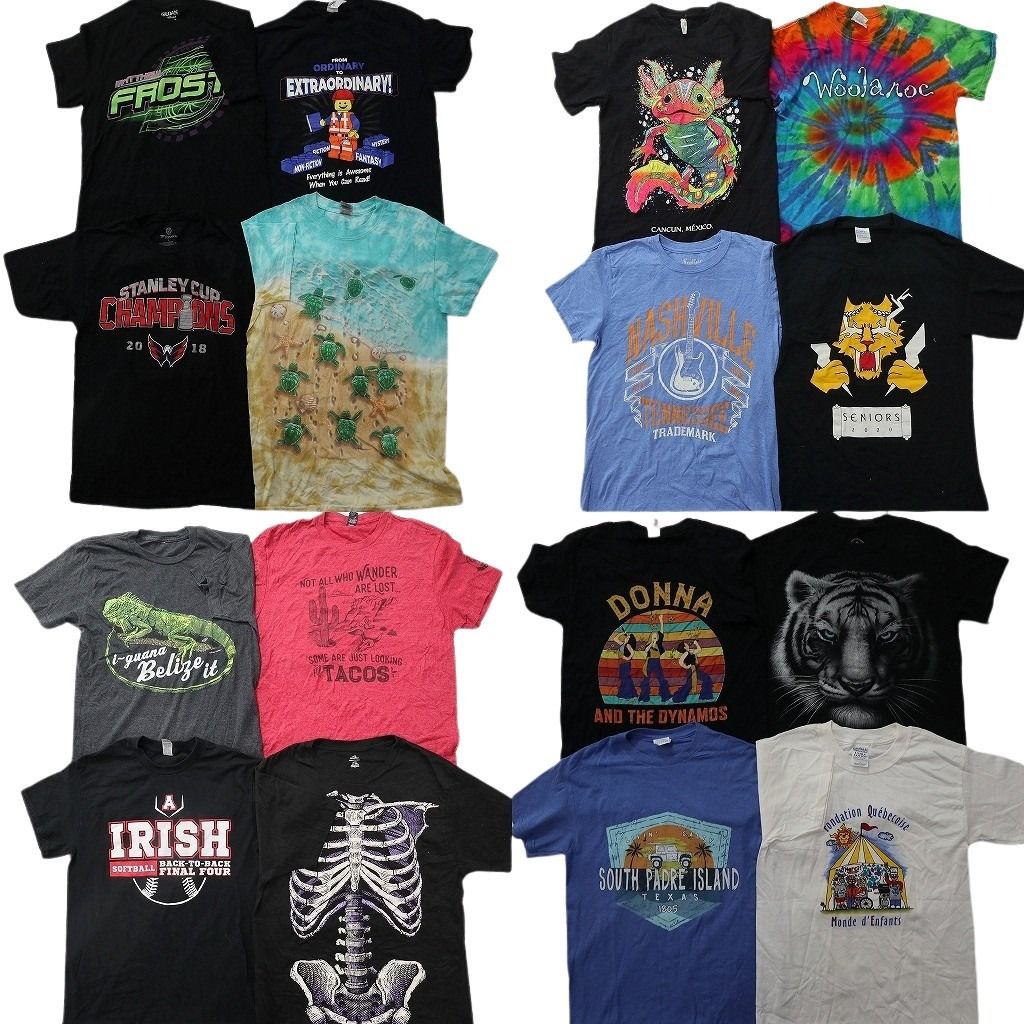 古着卸 まとめ売り プリント Tシャツ 16枚セット ( メンズ S ) アニマル キャラクター だまし絵 カレッジ風ロゴ アーチロゴ 古着 NG2198