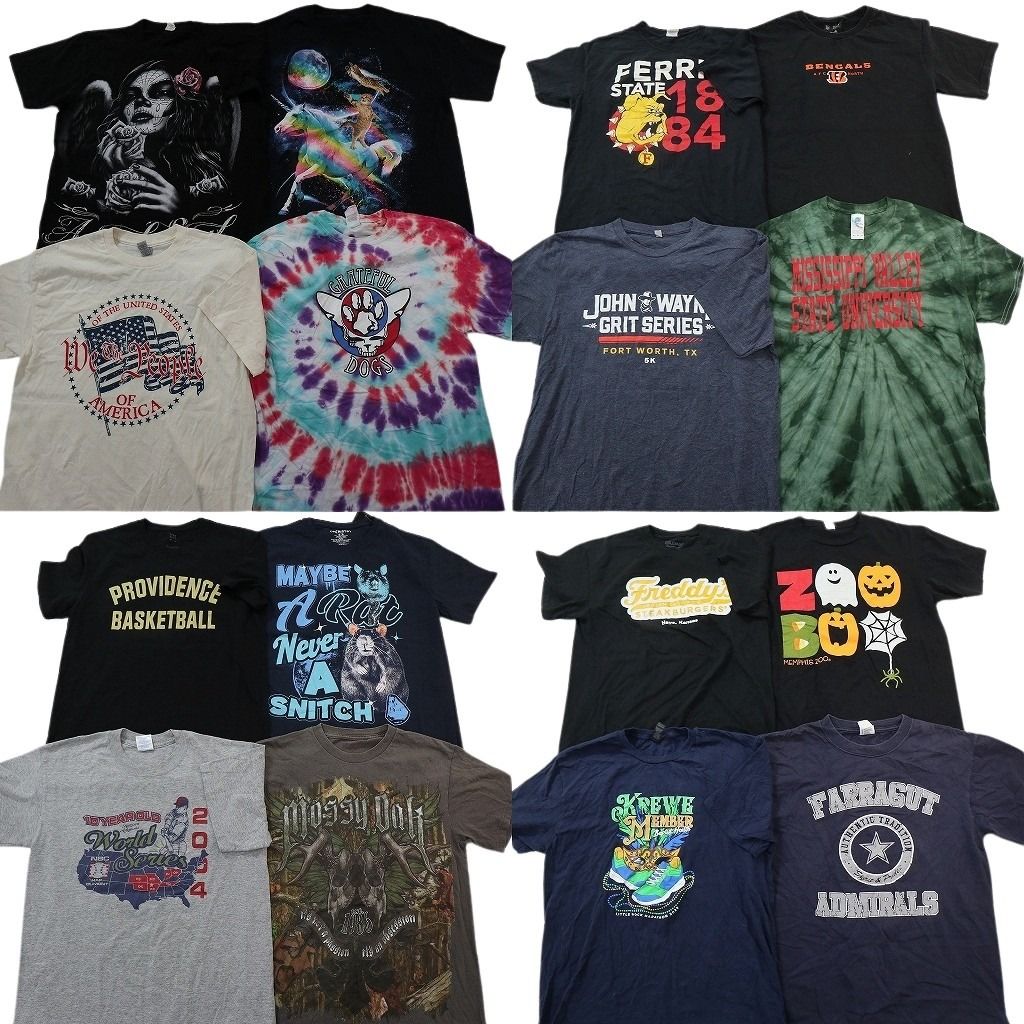古着卸 まとめ売り プリント Tシャツ 16枚セット ( メンズ M ) アニマル スカル 星条旗柄 カレッジ風ロゴ アーチロゴ 中古 古着 NG2210 14,136円