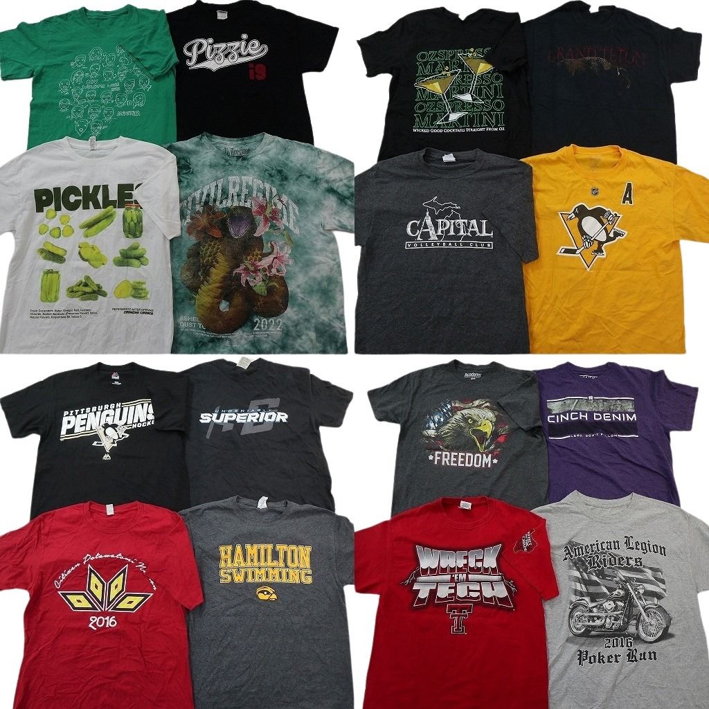 古着卸 まとめ売り プリント Tシャツ 16枚セット ( メンズ M ) アニマル イーグル プロチーム NHL ペンギンズ 中古 古着 NG2218