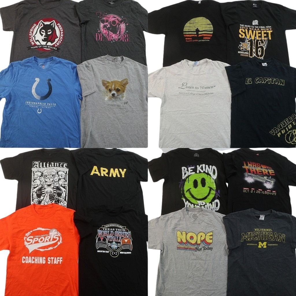 古着卸 まとめ売り プリント Tシャツ 16枚セット ( メンズ Ｍ ) カレッジ風ロゴ アニマルモチーフ ミリタリー ARMY 中古 古着 NG2239