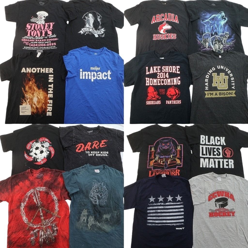 古着卸 まとめ売り プリント Tシャツ 16枚セット ( メンズ M ) 星条旗 アニマル DARE カレッジ風ロゴ 英文字プリント 中古 古着 NG2240