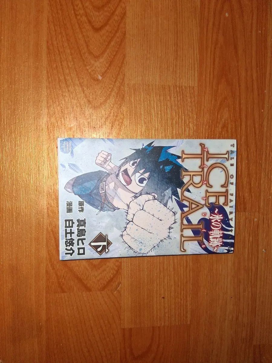 フェアリーテイル グレー外伝(下)出品