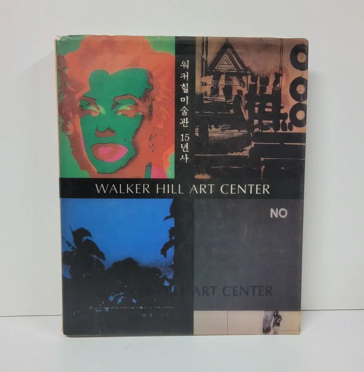 ウォーカーヒル美術展 15年史/チェ・テウォン/1998