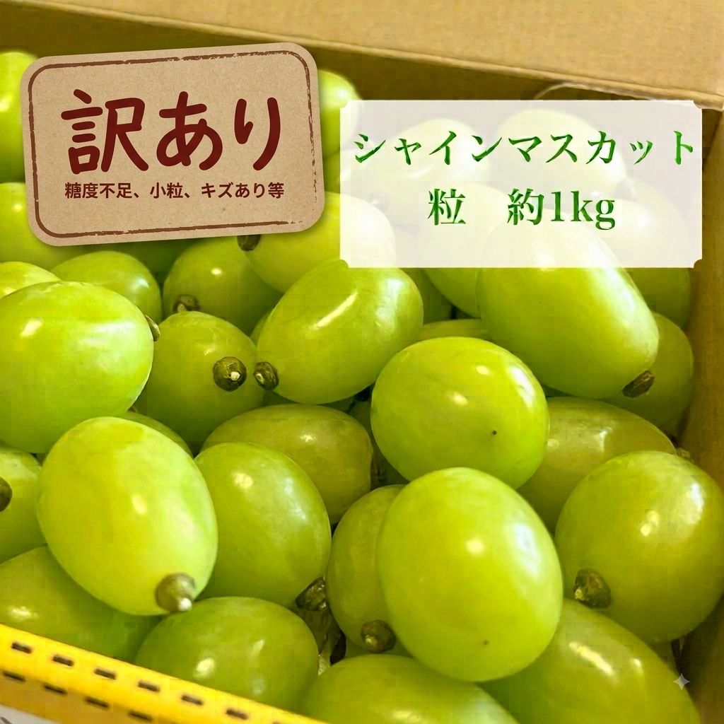朝採り！シャインマスカット1kg超え4房☆約4.5kg(箱込) 朝採り シャインマスカット 約1キロ 【公式通販】