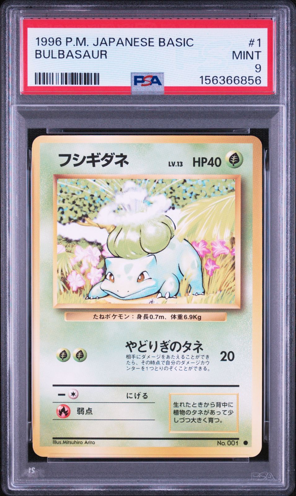 PSA9】フシギダネ 旧裏 拡張パック「ポケットモンスター カードゲーム