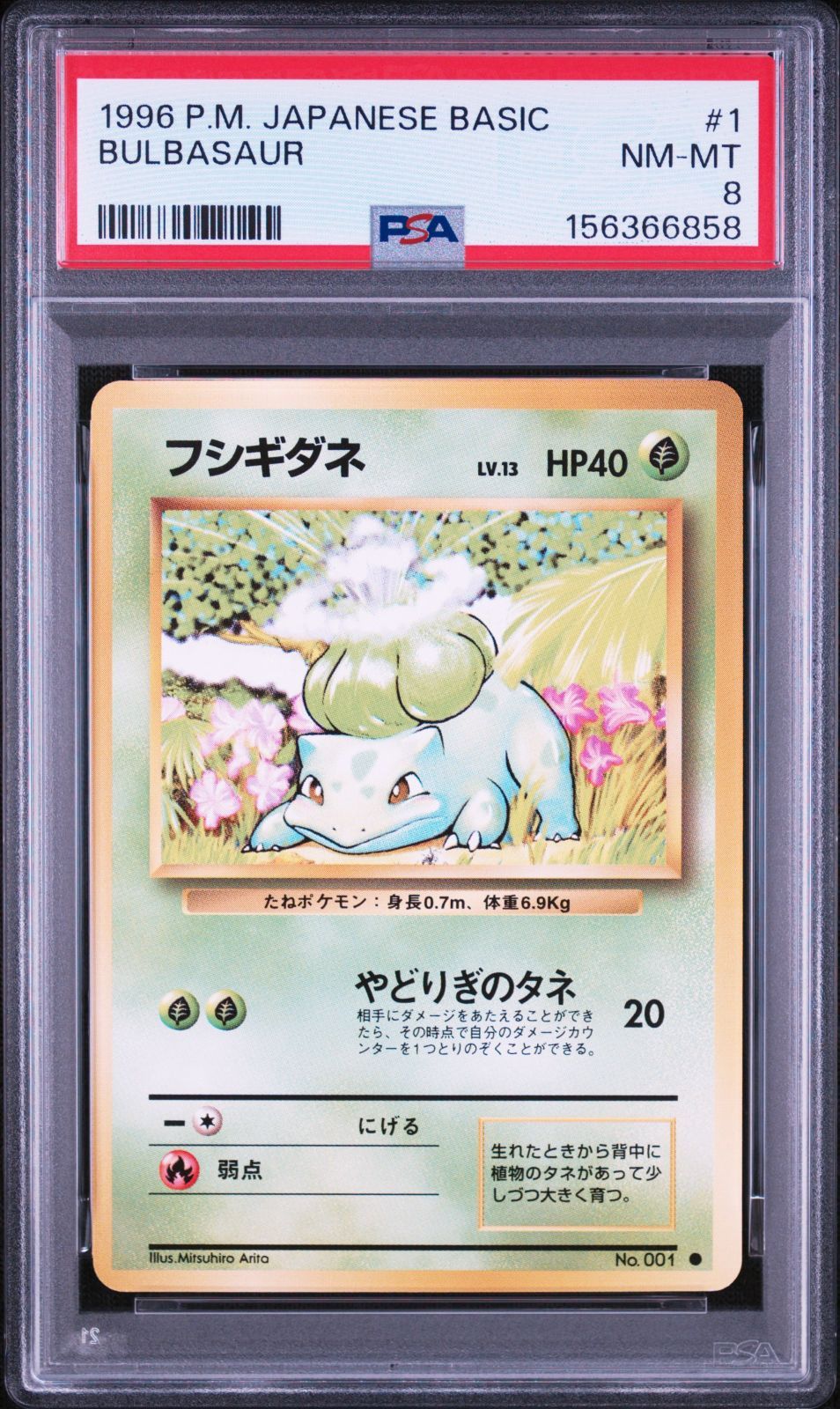PSA8】フシギダネ 旧裏 拡張パック「ポケットモンスター カードゲーム