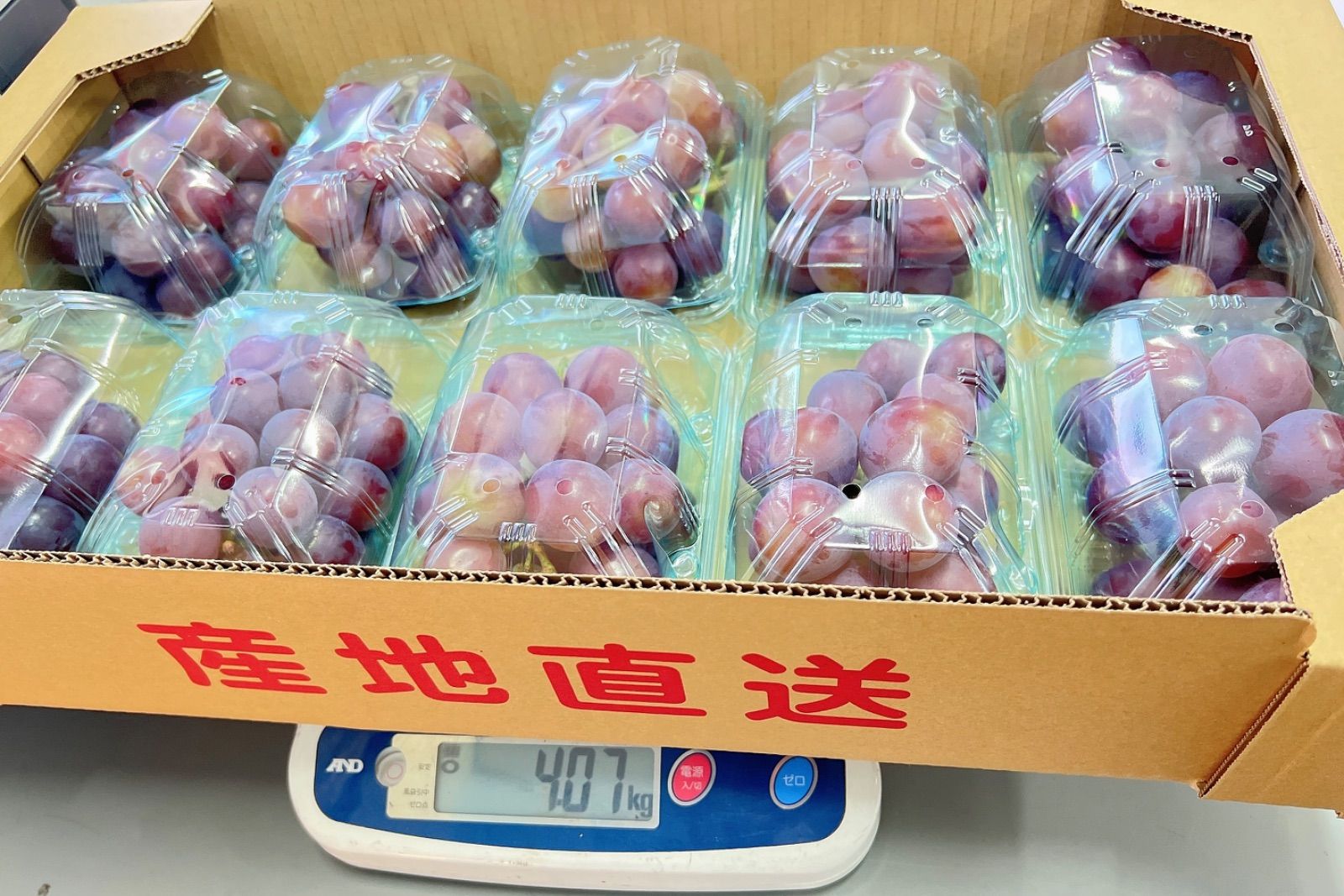 超希少品種 伊豆錦 ジャンボ大粒ぶどう 甘い秀品 糖度20度以上 10房 種