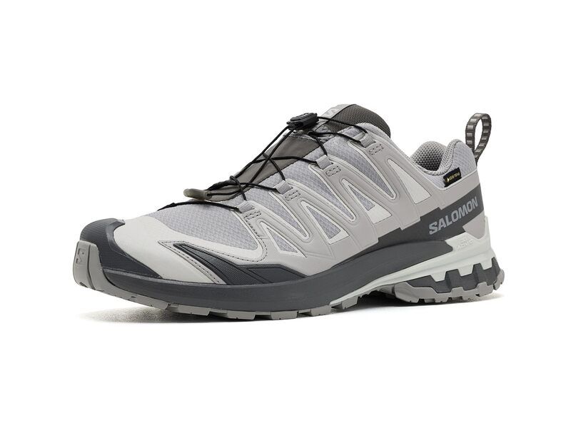 サロモン メンズ シューズ スニーカー Salomon XA Pro 3D V9 GORETEX AlloyCastleroc