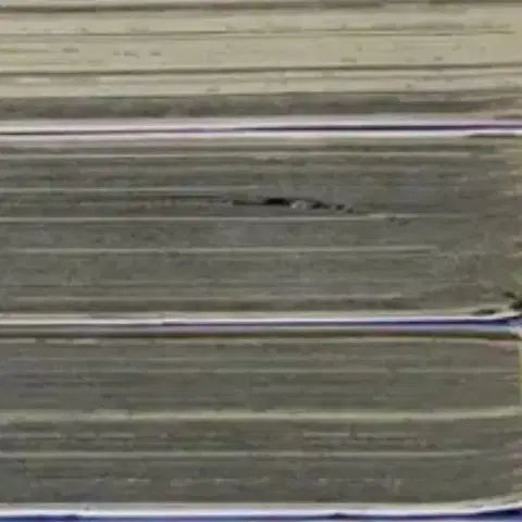 私 地球 守って 1 - 21 (完了) ヒワタリ さき