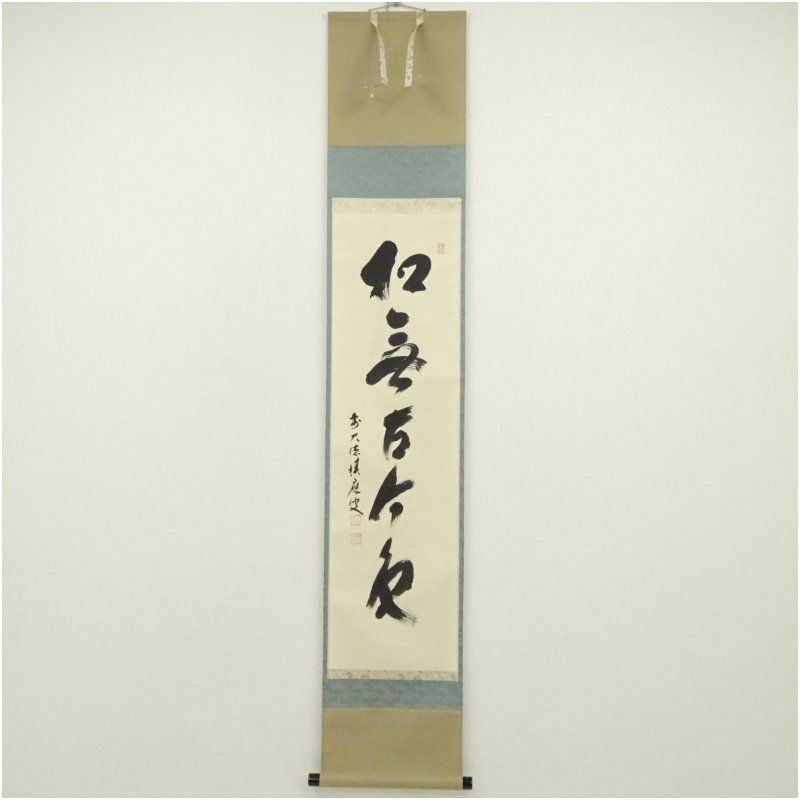 前大徳　福本積應筆　「松無古今色」一行書　肉筆紙本掛軸（共箱） 掛け軸 床の間 書 おしゃれ 絵画 表具 芸術 茶道 年中掛け インテリア 茶掛 掛物 和室 1月 11月 秋