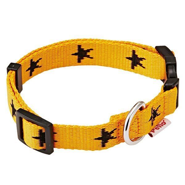 （まとめ）メリカジ スターカラー M オレンジ〔×3セット〕 (犬用品/首輪)