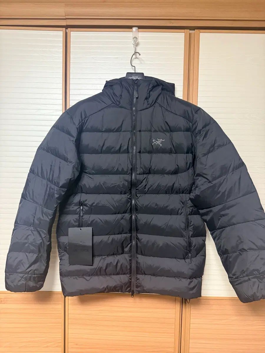 ARC'TERYX トリムフーディー L (新品)