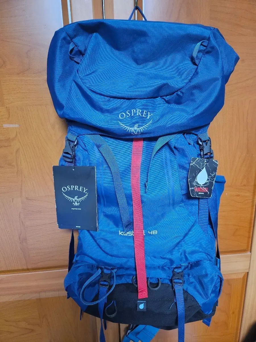 オスプレイ Kestrel 48 登山 リュック ブルー