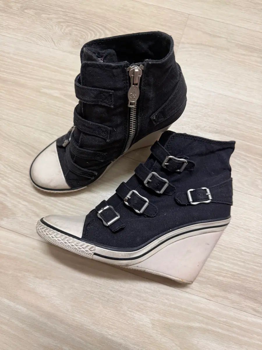 Ash アッシュ ウェッジヒール スニーカー テルマ